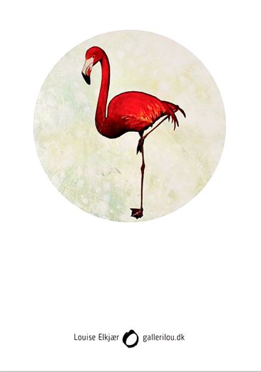 IMG_5581 Flamingo Mod det Blå